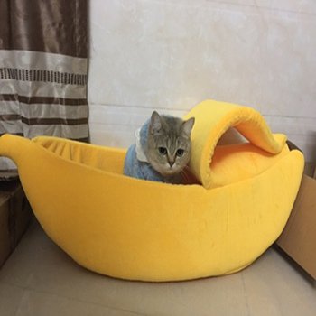 Bananen kattenmand