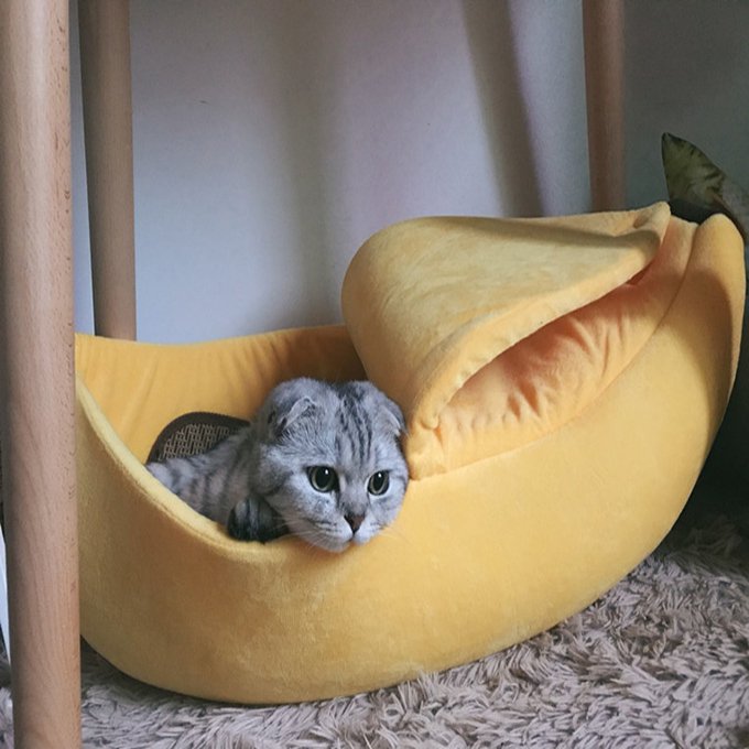 Bananen kattenmand