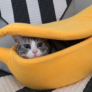 Bananen kattenmand